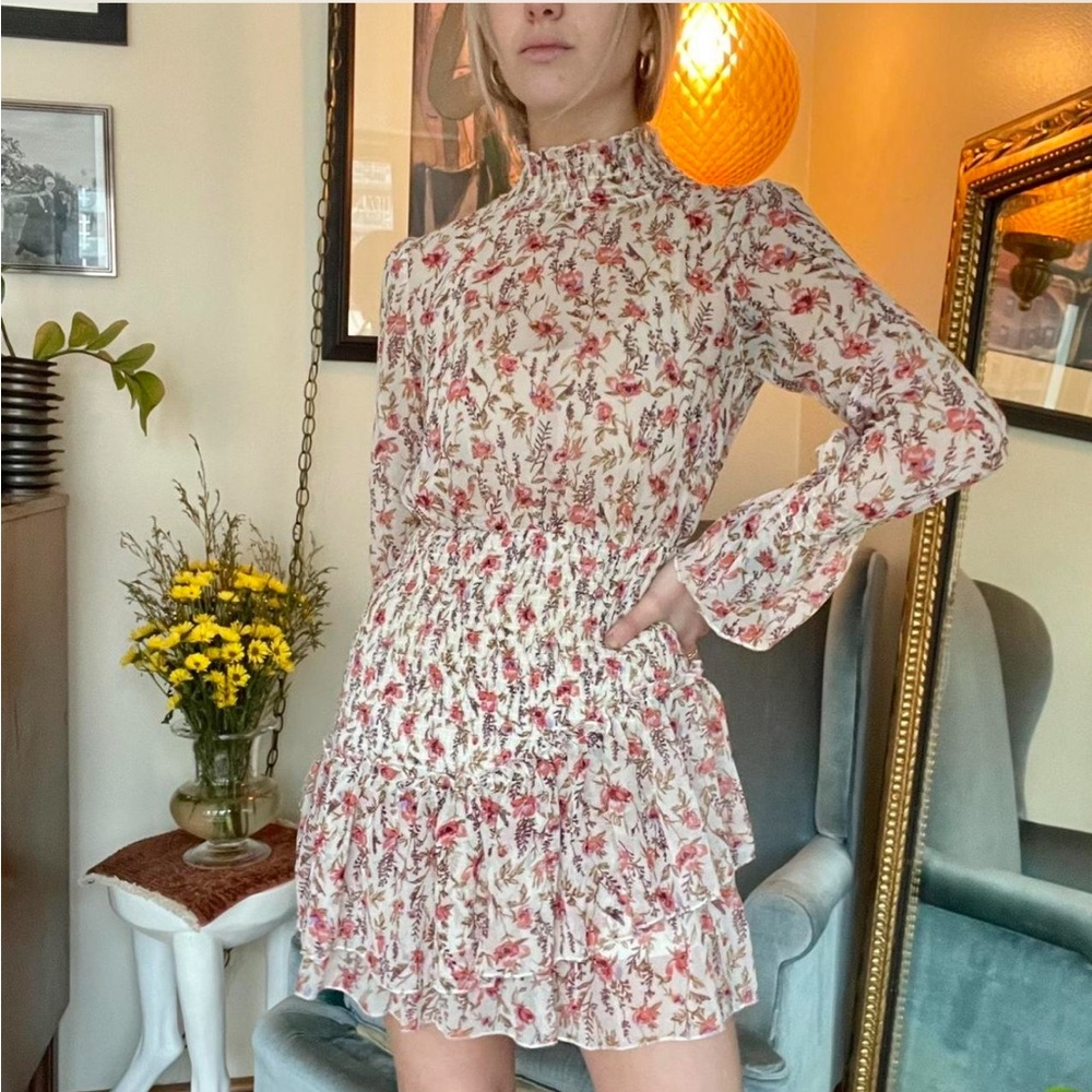 Beautiful Ruffled Mini Dress - Picture 3 of 5